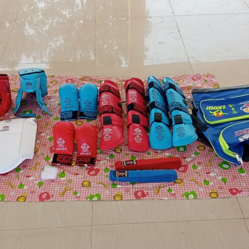 Gokaido Karate Kit Price in India | Gokaido Full Kit & Karate Protective Equipment