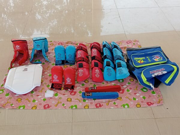 Gokaido Karate Kit Price in India | Gokaido Full Kit & Karate Protective Equipment